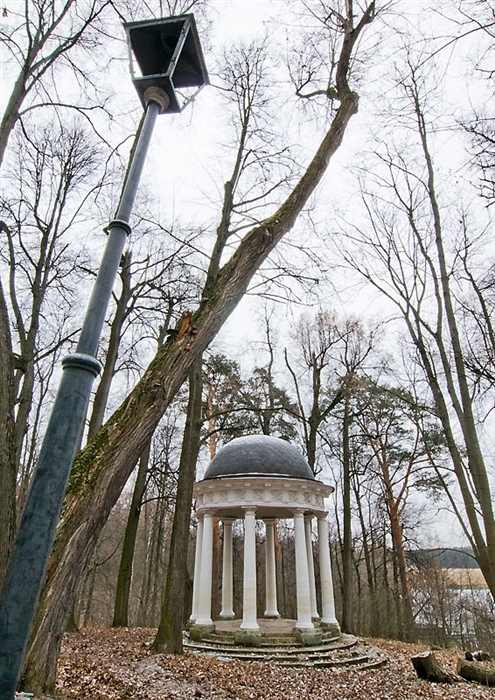 Фото жизнь