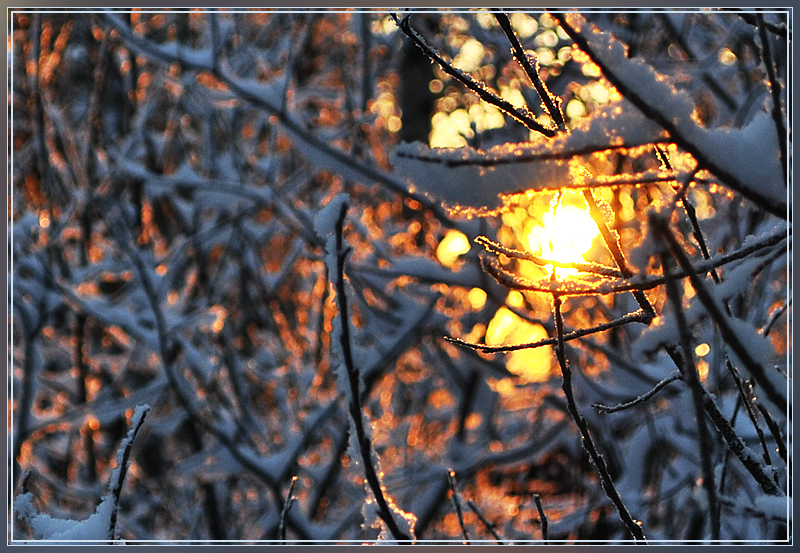Фото жизнь (light) - Anatoly Obodovsky - корневой каталог - Холодное солнце
