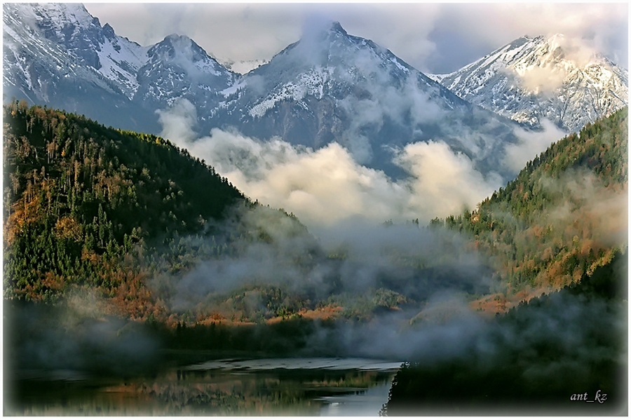 Фото жизнь