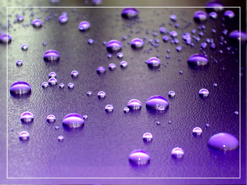 Фото жизнь (light) - Tatyana Fedosova - корневой каталог - Капельки