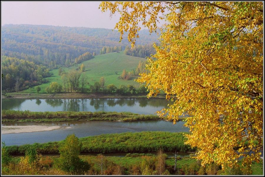 Фото жизнь