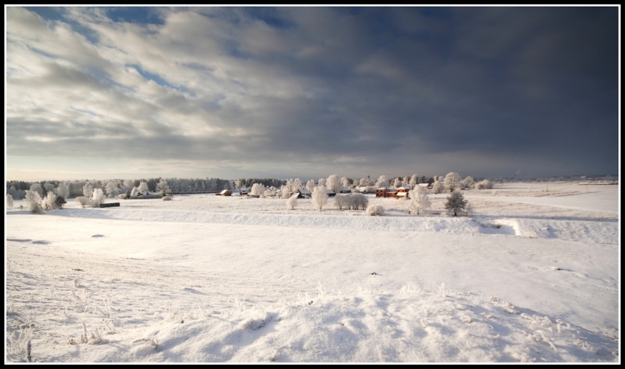 Фото жизнь