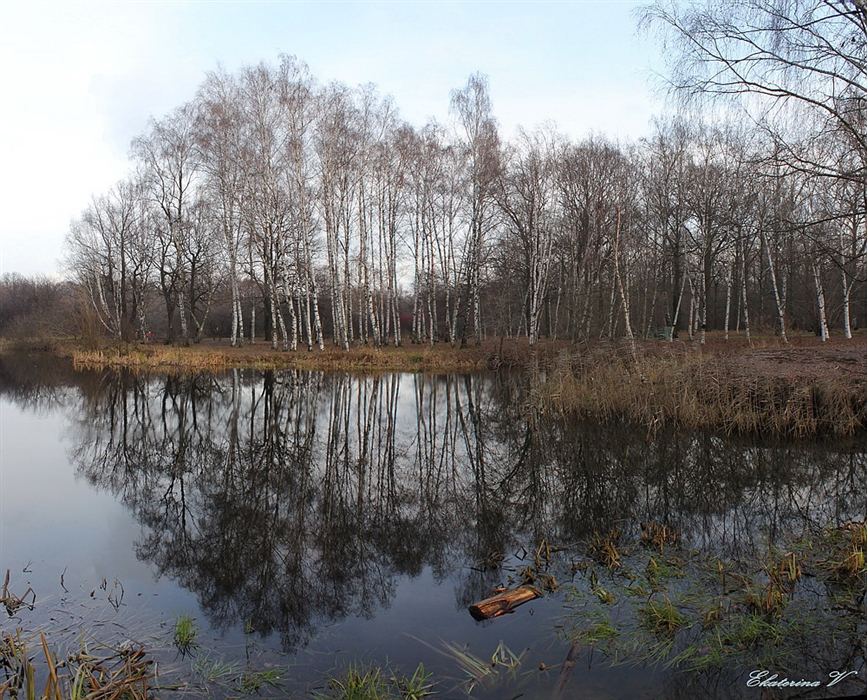 Фото жизнь