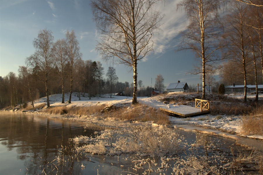 Фото жизнь