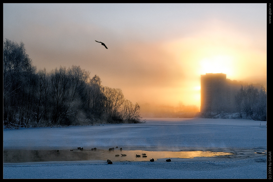 Фото жизнь (light) - Галина Ярмолович - корневой каталог - Минус 25!