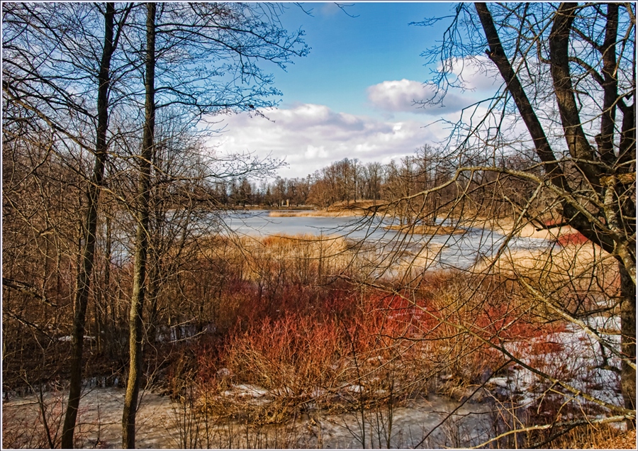 Фото жизнь