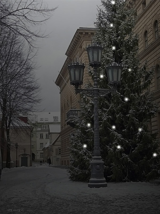 Фото жизнь
