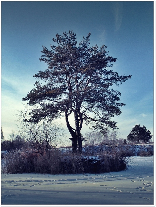 Фото жизнь
