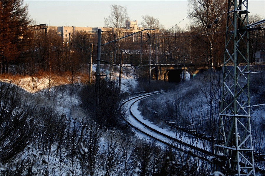 Фото жизнь