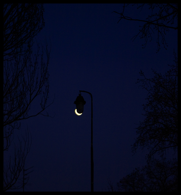 Фото жизнь (light) - Tetjanko - Прочее - Moon