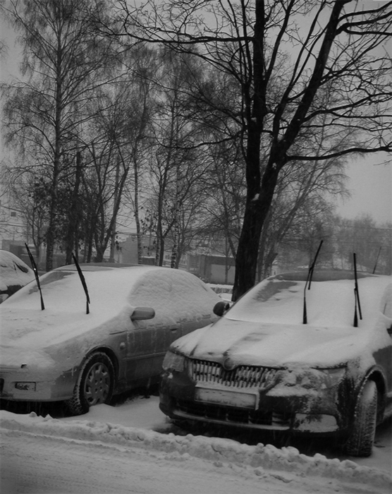 Фото жизнь