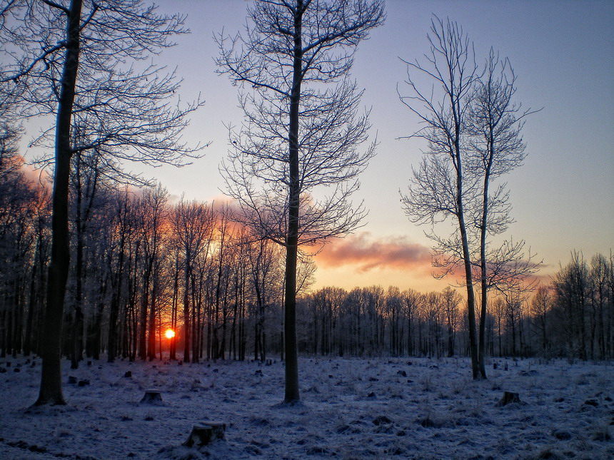 Фото жизнь (light) - natashulpinova - Закаты - Зимний закат