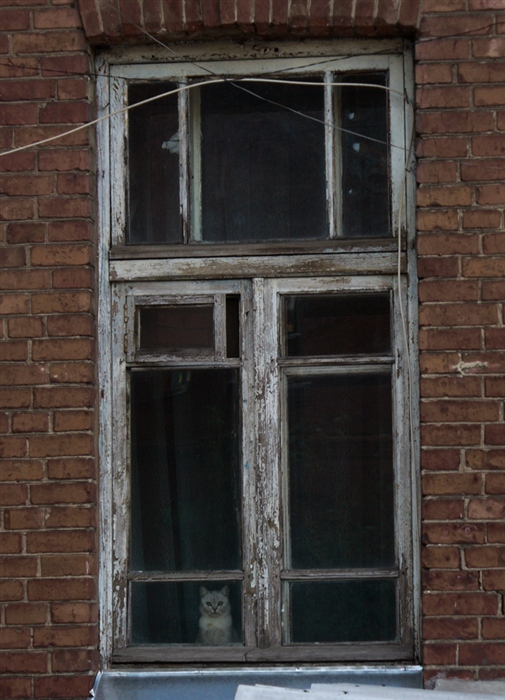 Фото жизнь