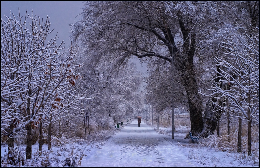 Фото жизнь