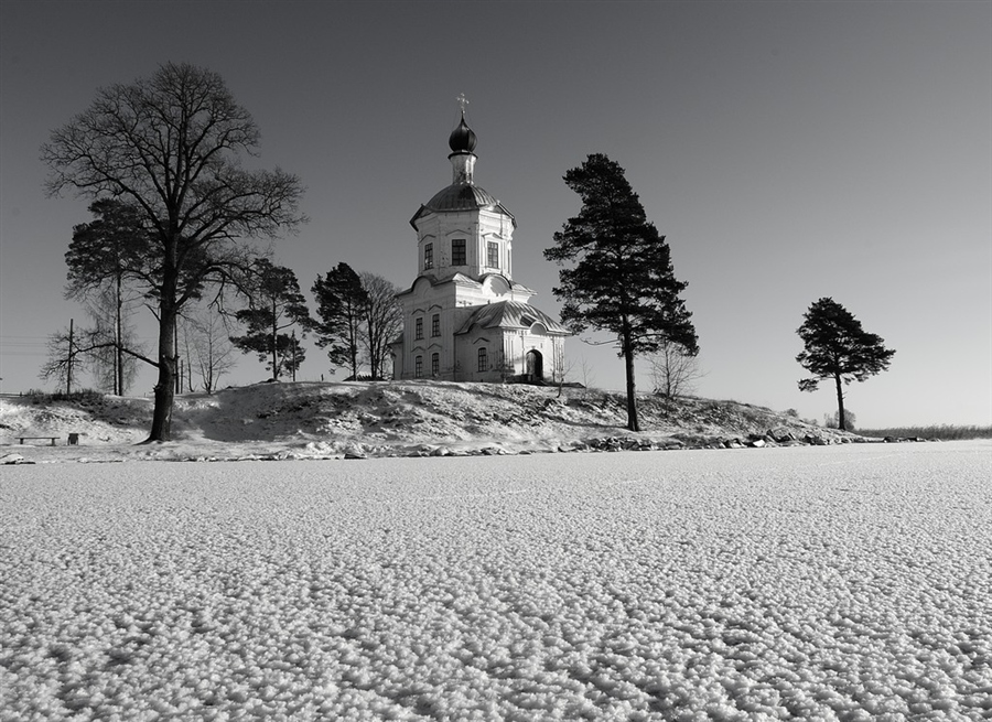 Фото жизнь