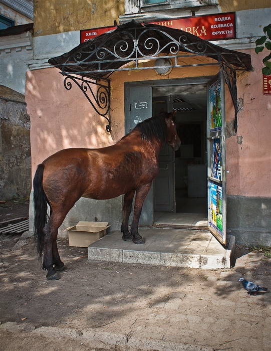 Фото жизнь