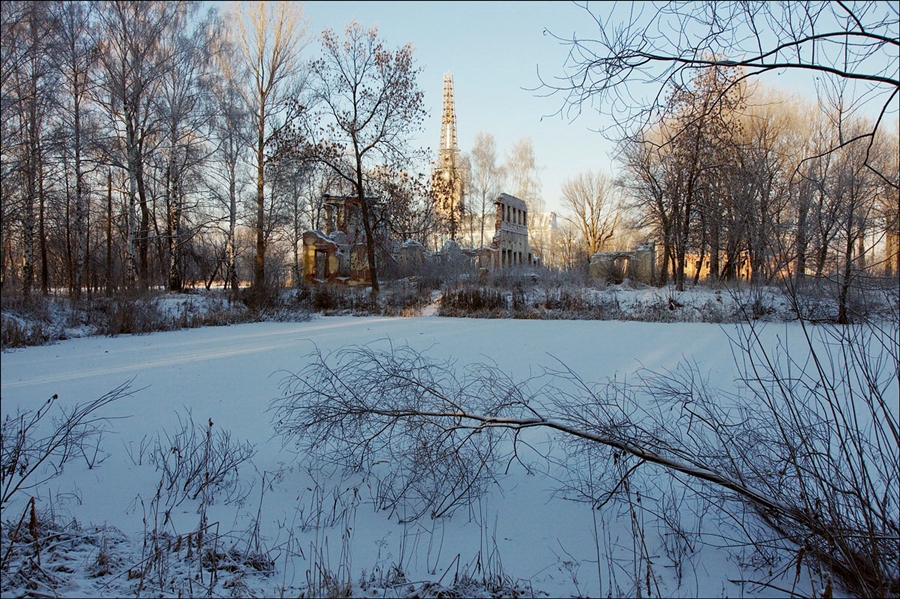 Фото жизнь