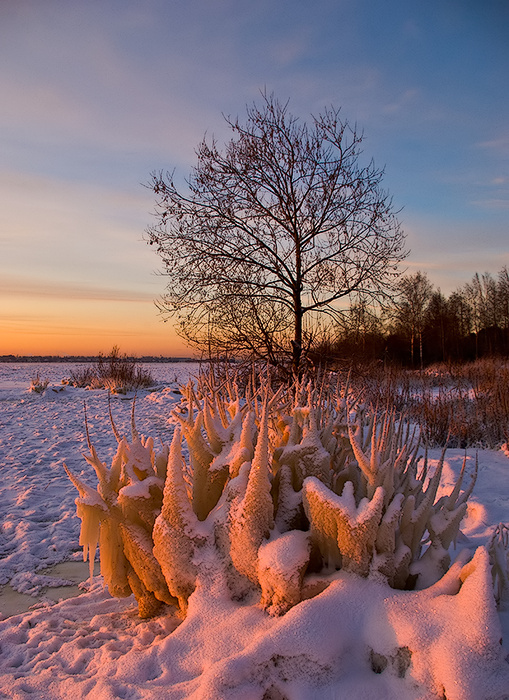 Фото жизнь (light) - temas - Ладога - Формы жизни