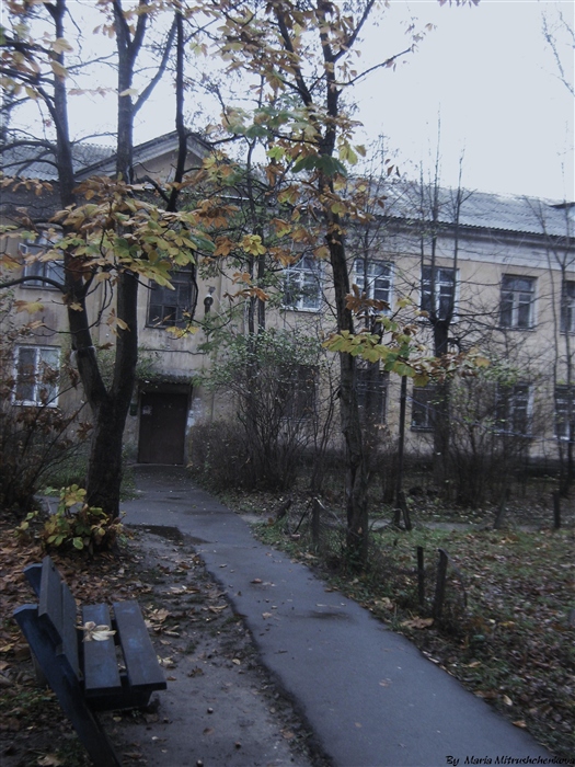 Фото жизнь
