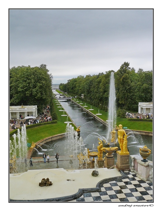 Фото жизнь