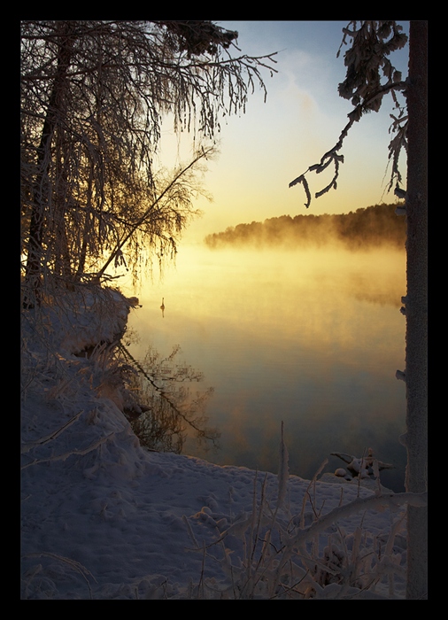 Фото жизнь