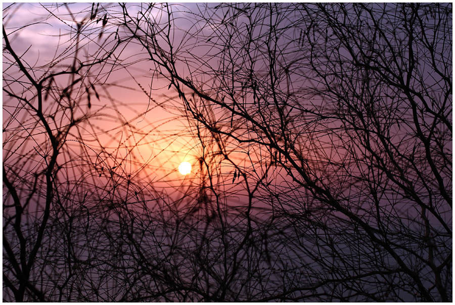 Фото жизнь (light) - Vlaimir Zeev Radzievsky - корневой каталог - Another story about the sunset ....