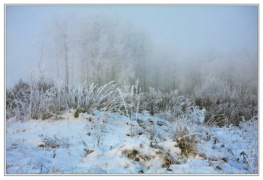 Фото жизнь (light) - avacha - Зимние - Морозная