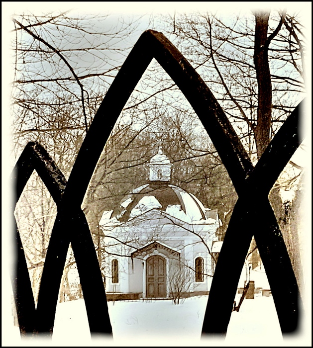 Фото жизнь