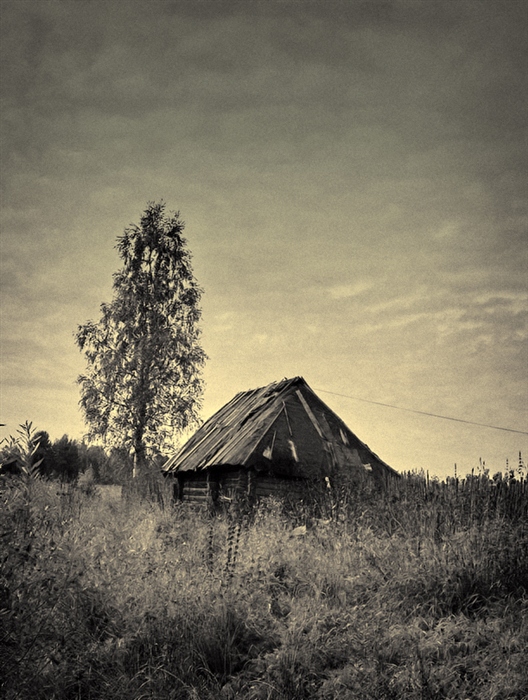 Фото жизнь