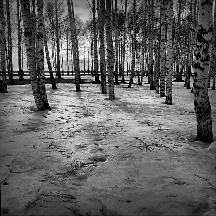 Фото жизнь (light) - Katrusya - Города/Страны (Photo Album) Сity&Country - Россия (2007)