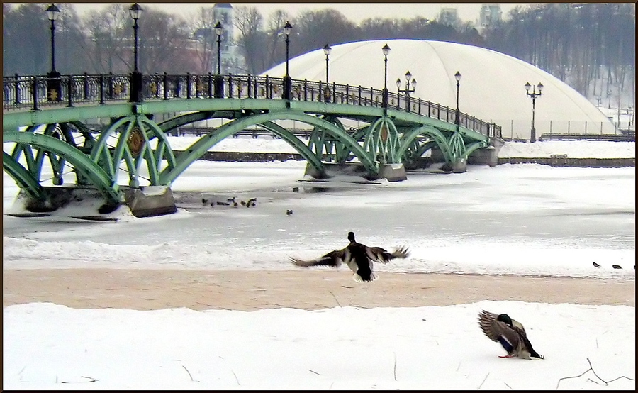Фото жизнь
