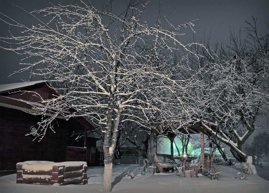 Фото жизнь