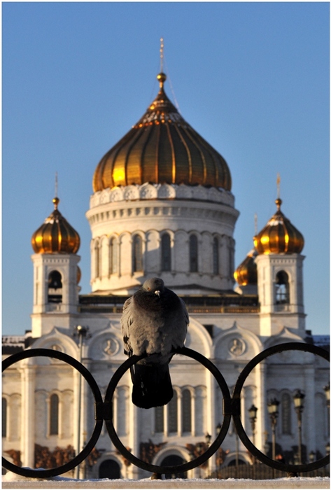 Фото жизнь