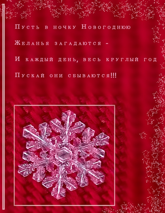Фото жизнь
