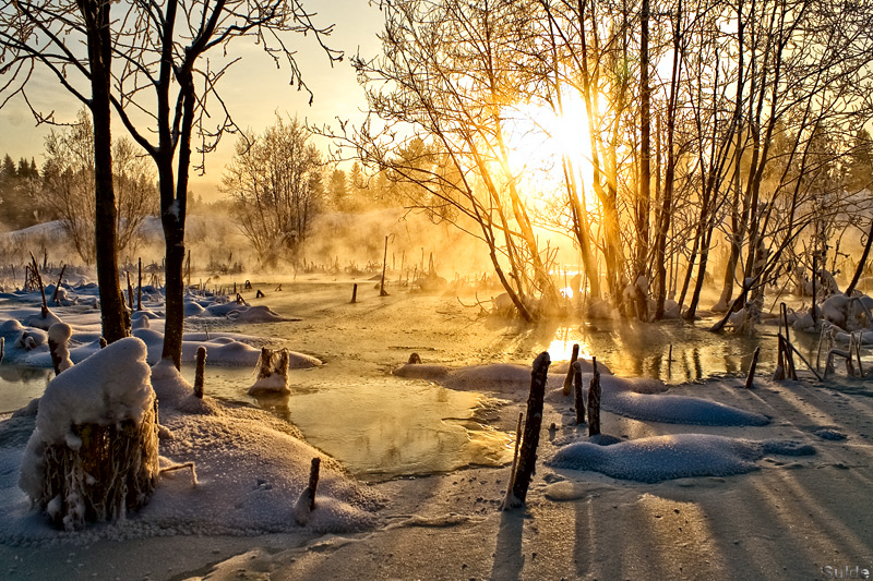 Фото жизнь