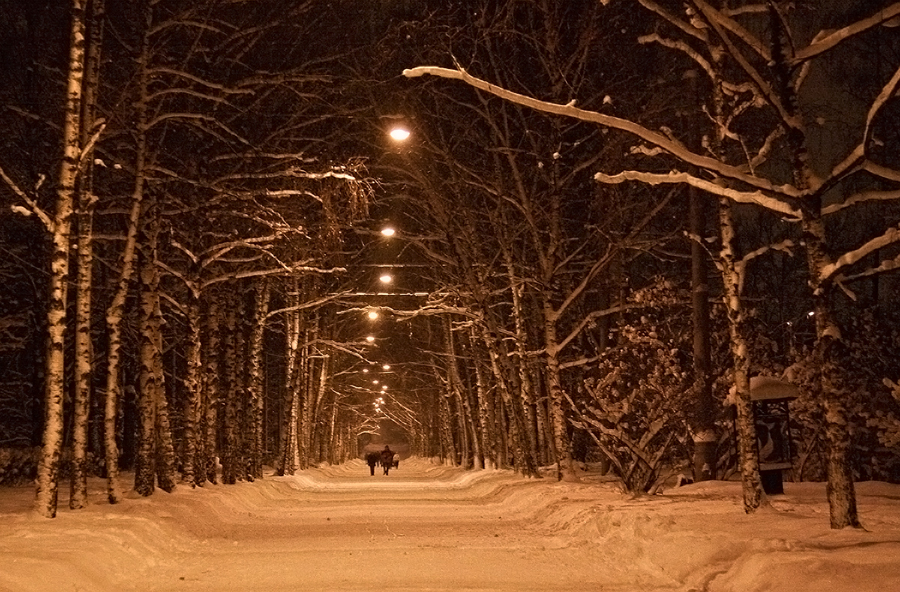 Фото жизнь
