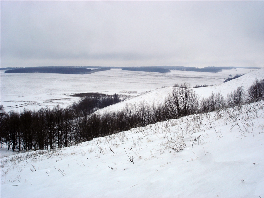 ЛесОК