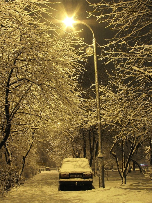 Фото жизнь