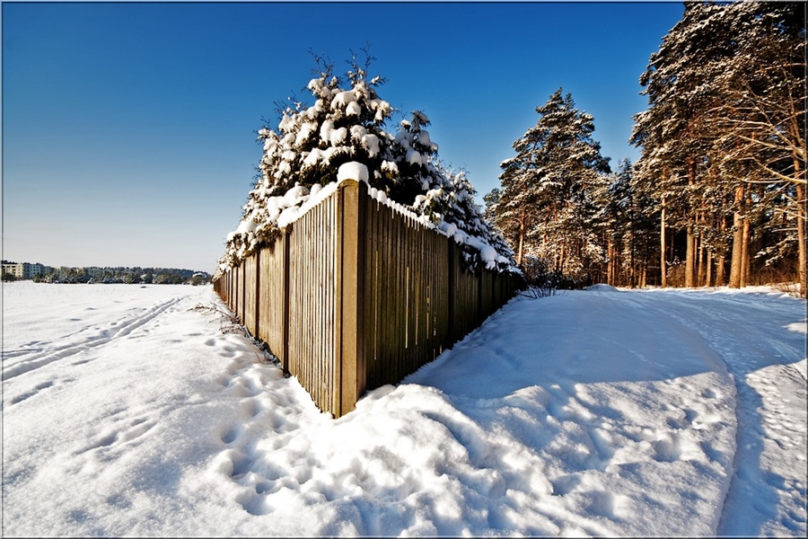 Фото жизнь