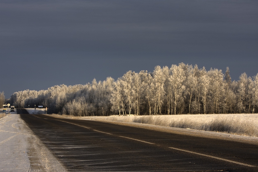 Фото жизнь