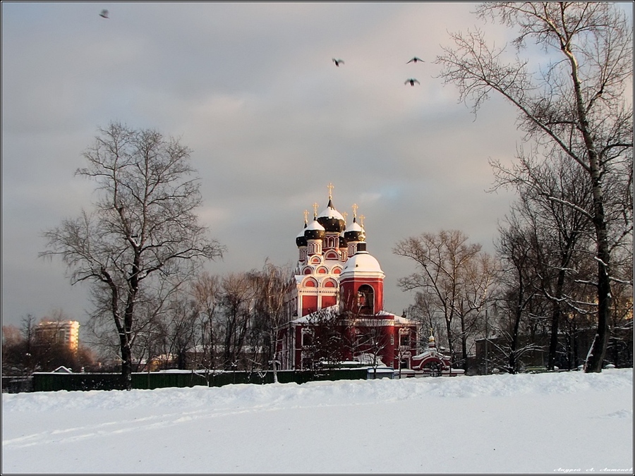 Фото жизнь