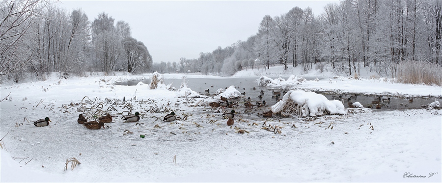 Фото жизнь