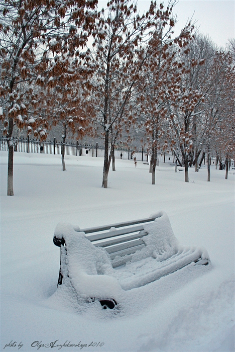 Фото жизнь