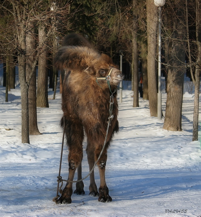 Фото жизнь