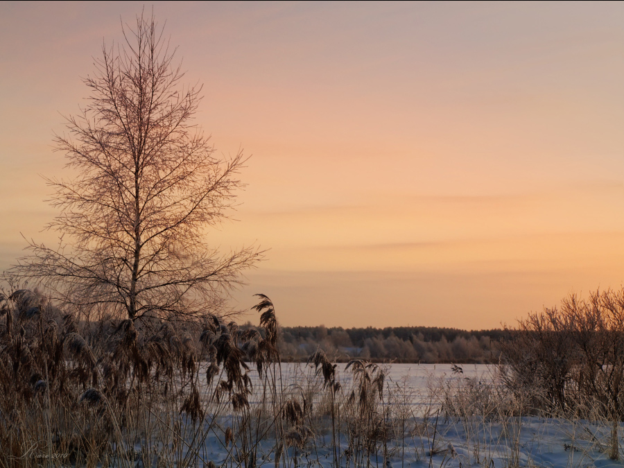 Фото жизнь (light) - Raisa Rare - Моя Запрудня!  - Коротким  зимним днём!