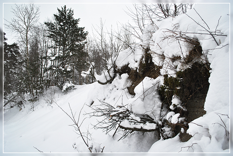 Фото жизнь (light) - Anatoly Obodovsky - корневой каталог - Снег