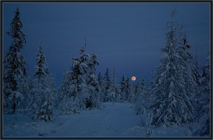 Фото жизнь (light) - Виктор Солодухин - Сказочная зима - Ночь перед Рождеством