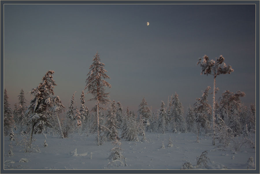 Фото жизнь - Виктор Солодухин - Сказочная зима - Предрождественское настроение