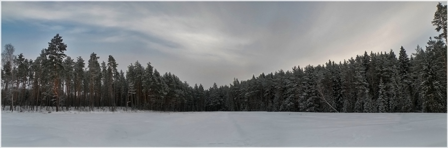 Фото жизнь