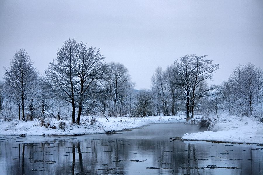 Фото жизнь - Vladus - Времена года. Зима - *зима*